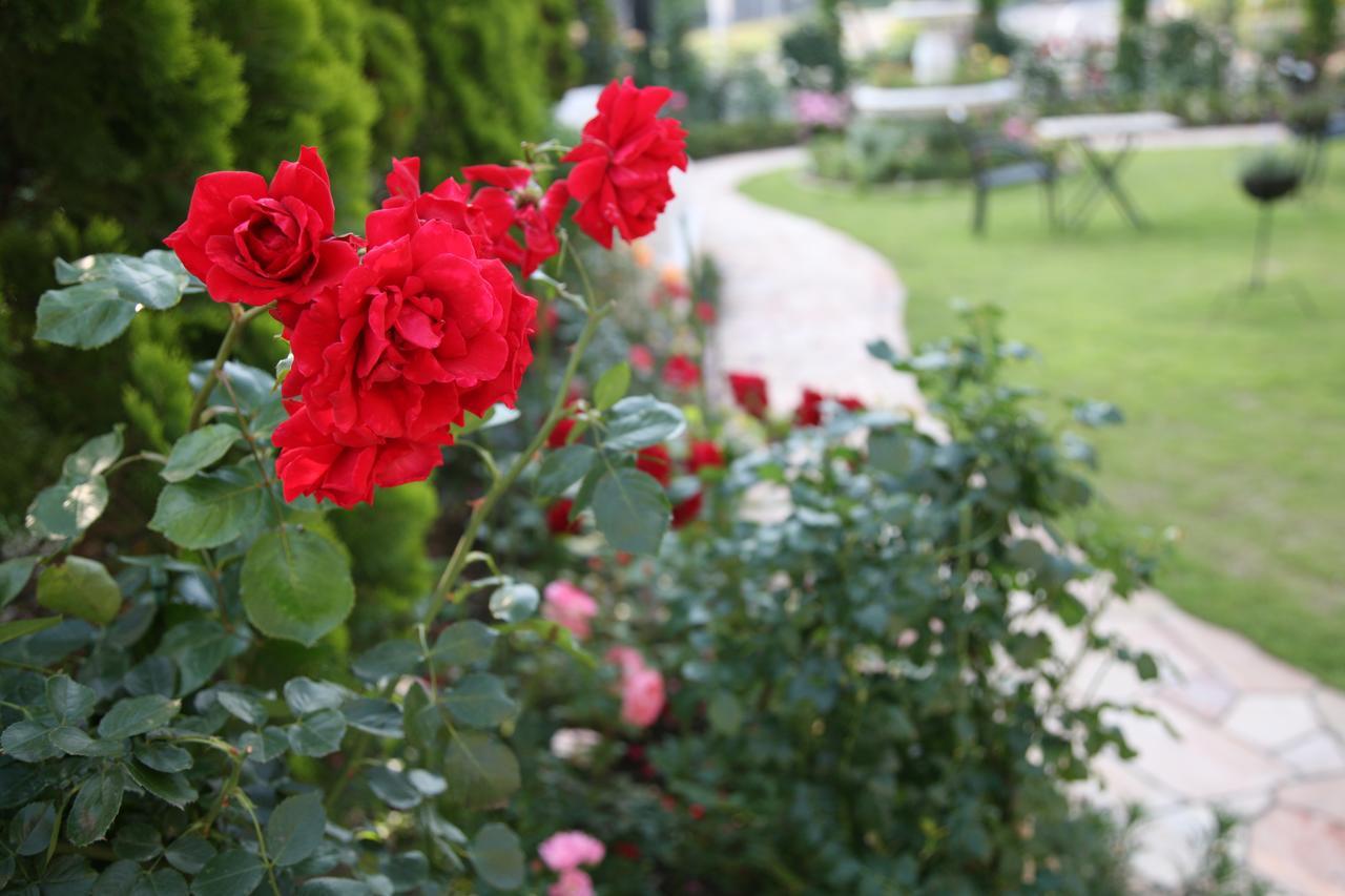Hotel Sunlife Garden Hiratsuka Dış mekan fotoğraf